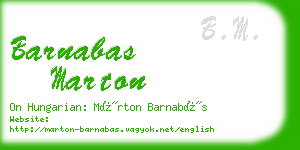 barnabas marton business card